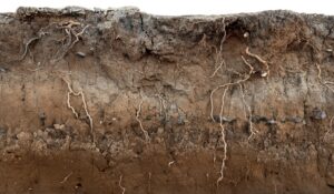 Managing Unforeseen Subsurface Conditions in Construction