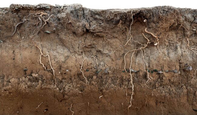Managing Unforeseen Subsurface Conditions in Construction Managing Unforeseen Subsurface Conditions in Construction
