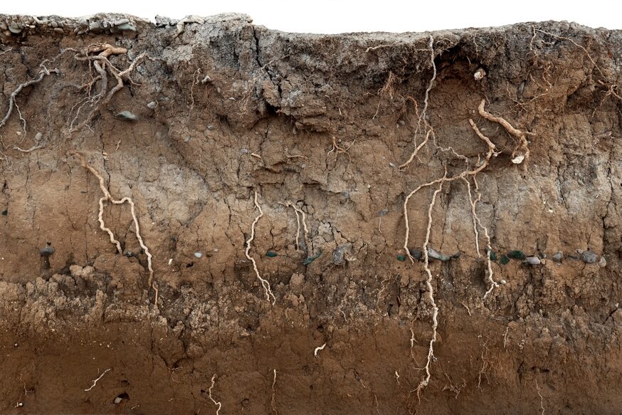 Managing Unforeseen Subsurface Conditions in Construction Managing Unforeseen Subsurface Conditions in Construction