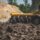 Underground Infrastructure Planning for Green Certifications